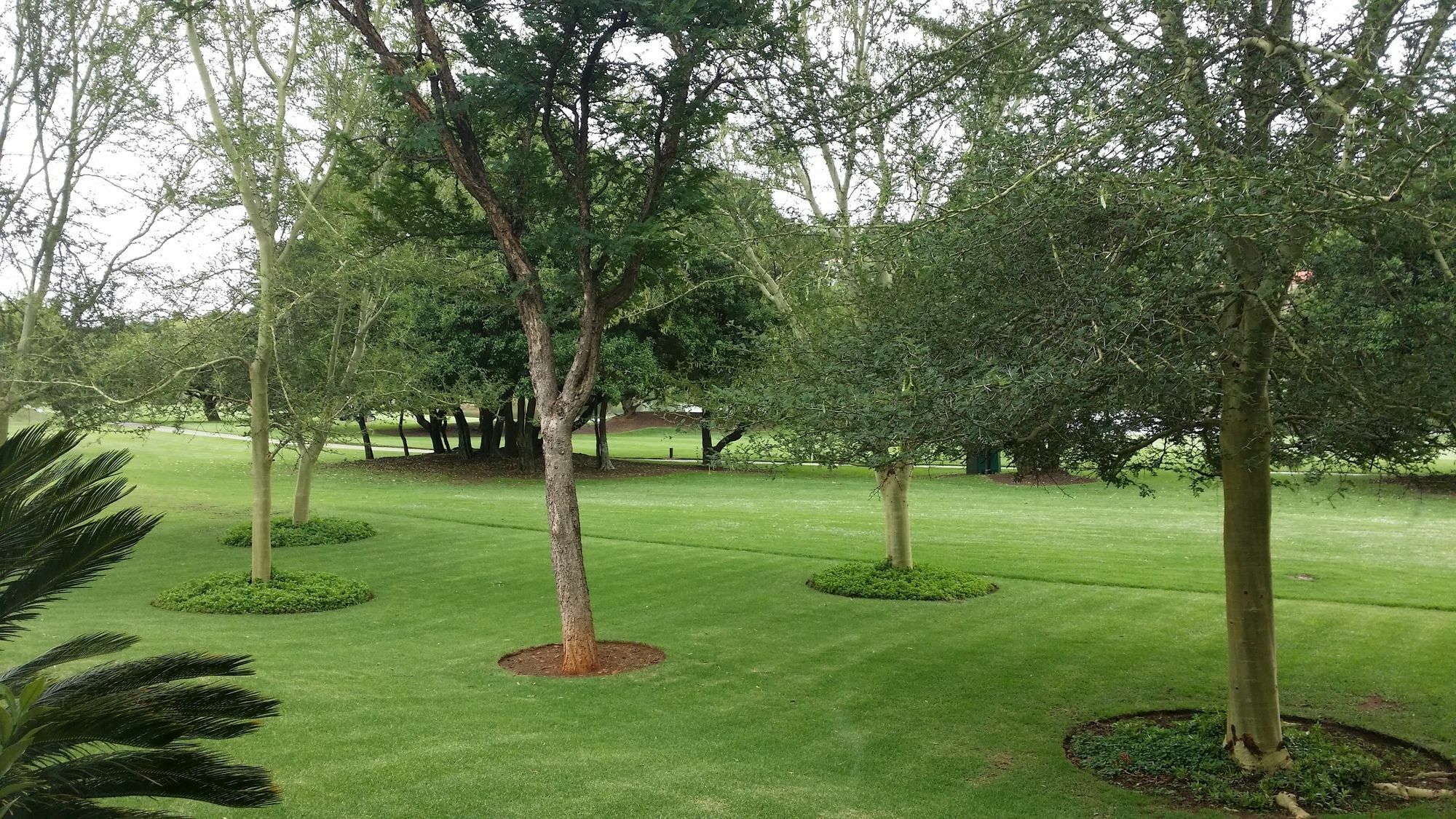 The Woodpecker Inn Pretoria-Noord Εξωτερικό φωτογραφία
